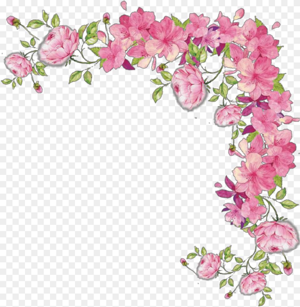 Pink Cascading Rose Vine Images Clear Background Flower Border, Plant, Petal, Art, Pattern Png