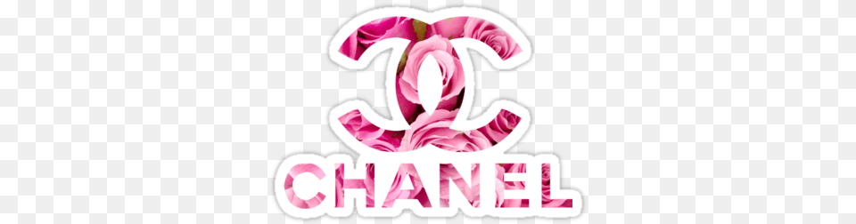 Pink Chanel Logo Logodix Coco Chanel Logo, Flower, Plant, Rose, Art Free Png