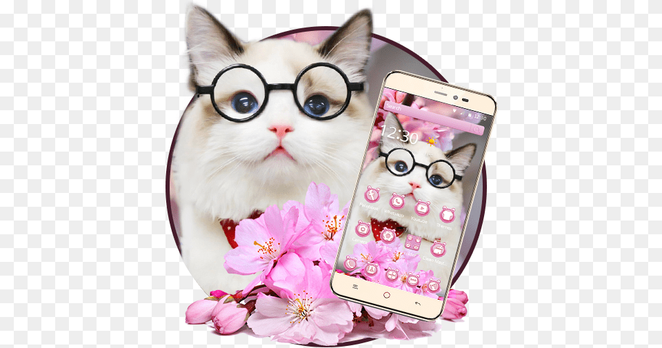Pink Cherry Blossom Cute Cat Theme Apps On Google Play Smartphone, Phone, Mobile Phone, Electronics, Accessories Png Image
