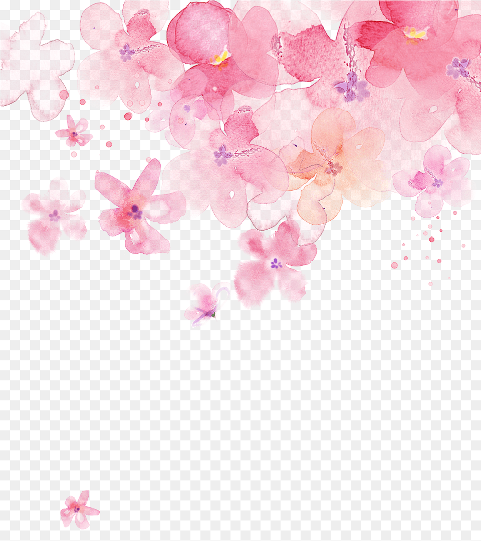 Pink Cherry Blossom Transparent Watercolour Cherry Blossoms, Flower, Petal, Plant, Cherry Blossom Free Png Download