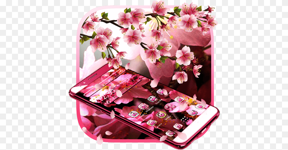 Pink Cherry Blossom Theme Apps On Google Play, Flower, Plant, Cherry Blossom Png