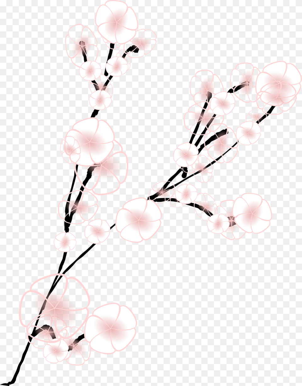 Pink Cherry Blossoms Clipart, Flower, Plant, Art, Graphics Png Image