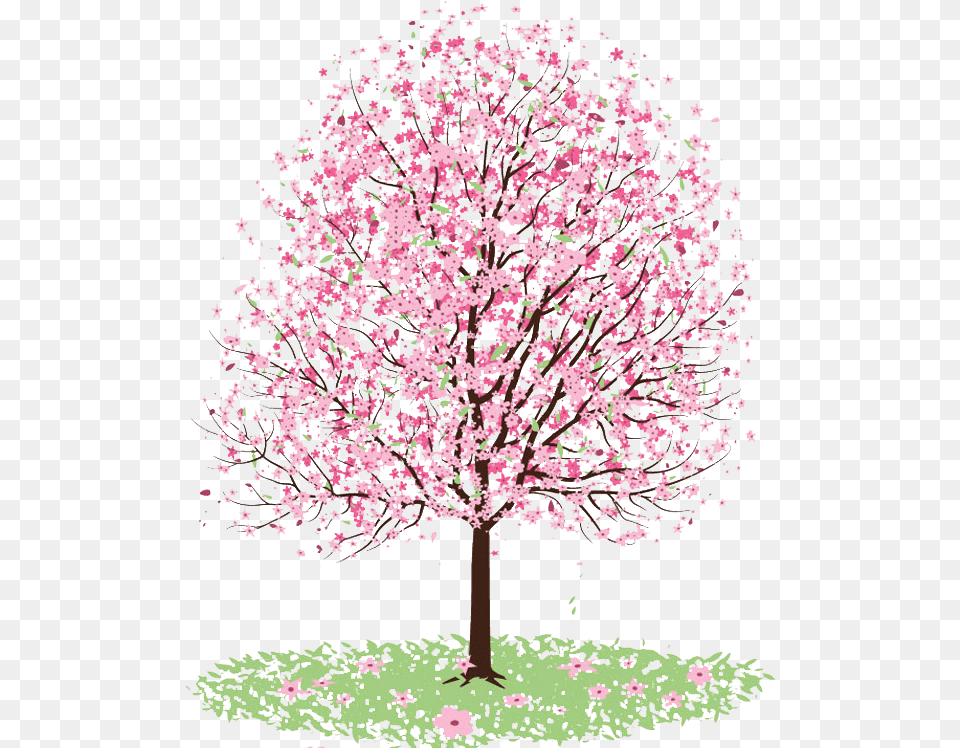 Pink Chinese Tree Drawing, Flower, Plant, Cherry Blossom Free Png Download