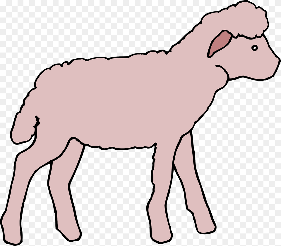 Pink Clipart, Livestock, Animal, Mammal, Baby Free Png Download