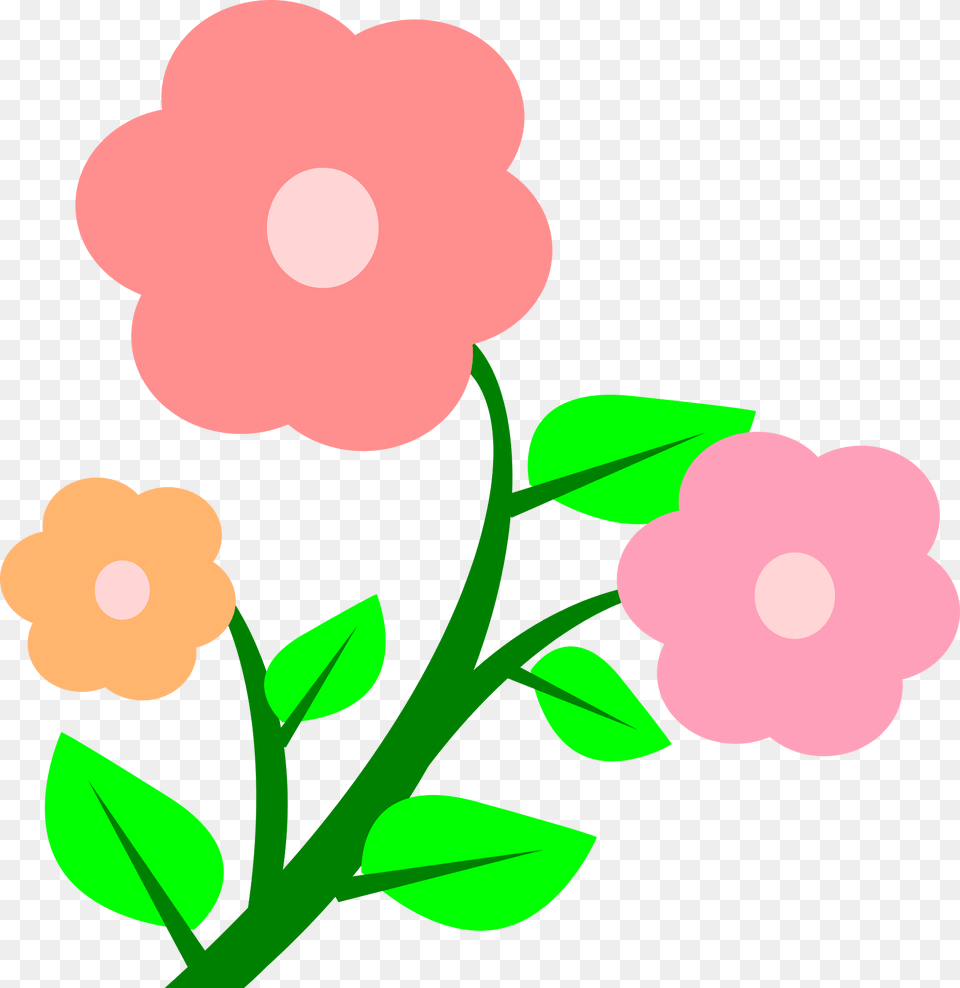 Pink Clipart, Anemone, Flower, Petal, Plant Png