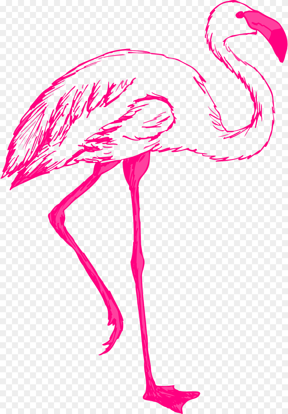 Pink Clipart, Animal, Bird, Flamingo Png