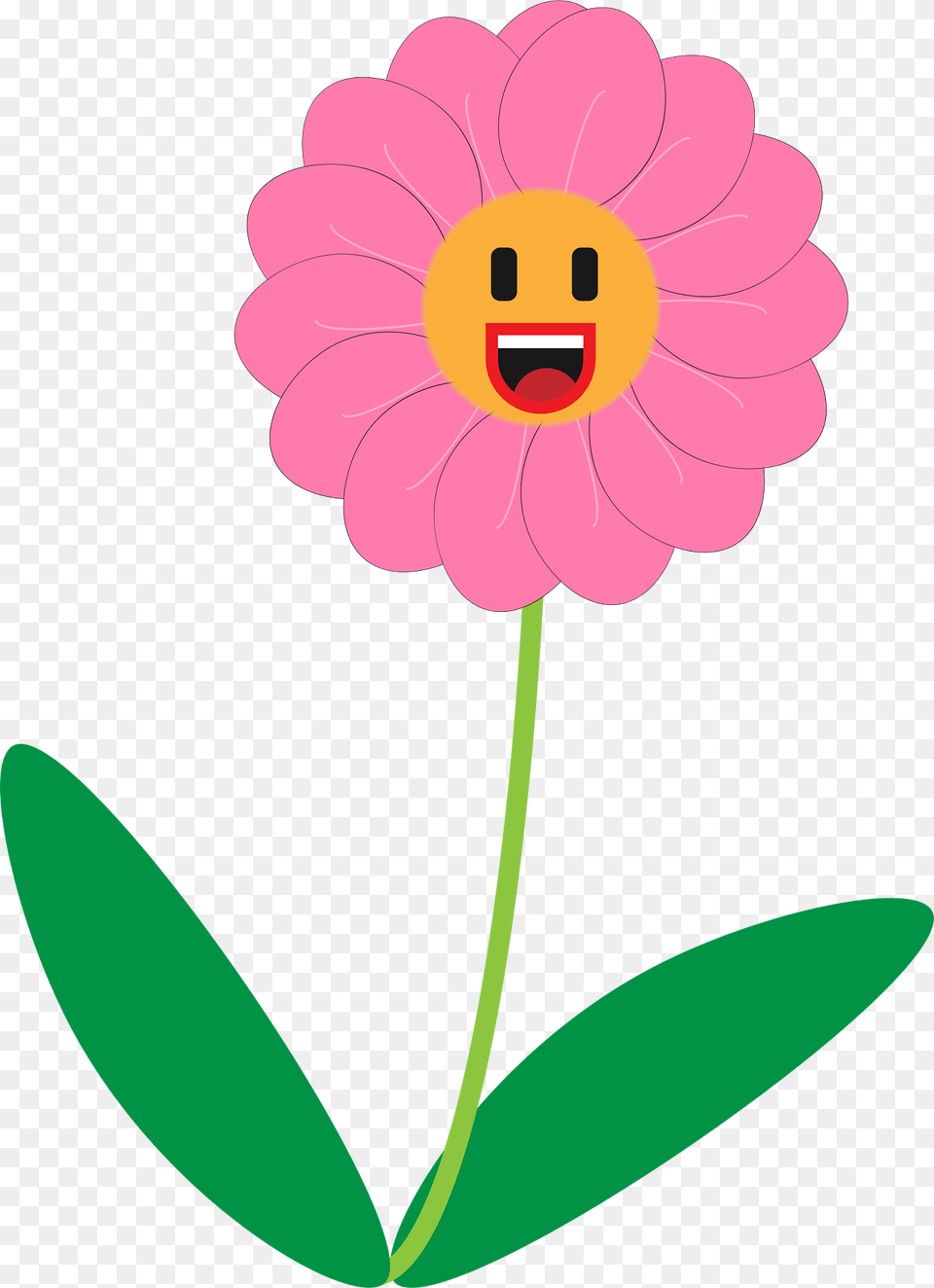 Pink Clipart, Daisy, Flower, Petal, Plant Png Image