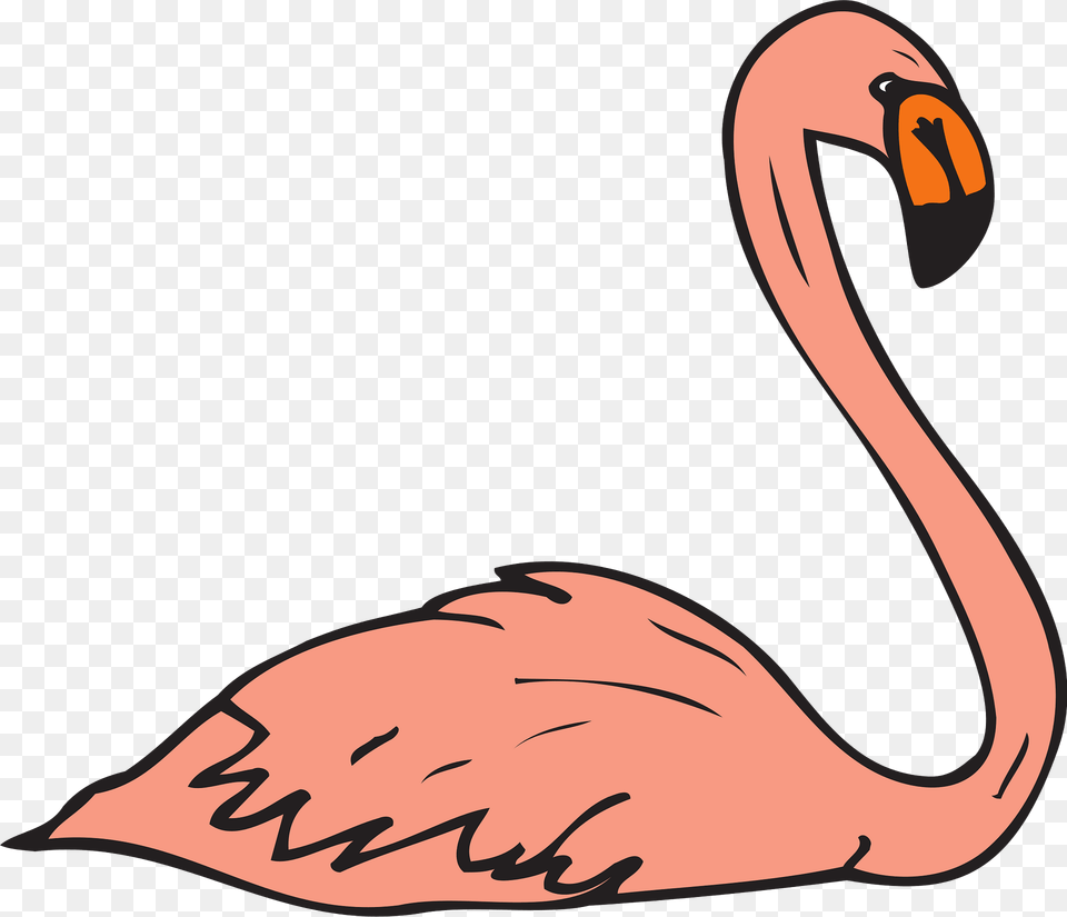 Pink Clipart, Animal, Beak, Bird, Flamingo Free Png