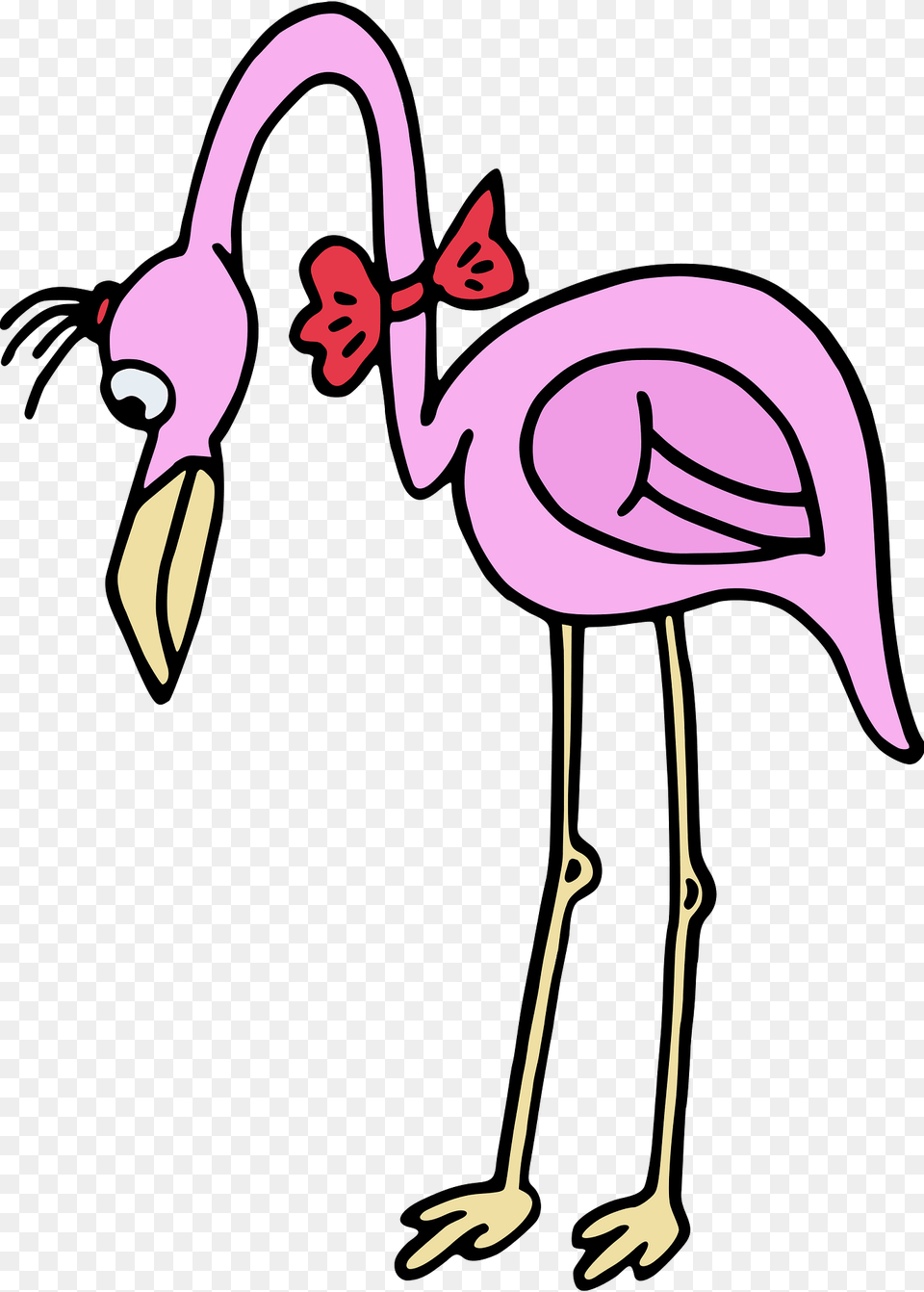 Pink Clipart, Animal, Bird, Flamingo, Beak Png Image