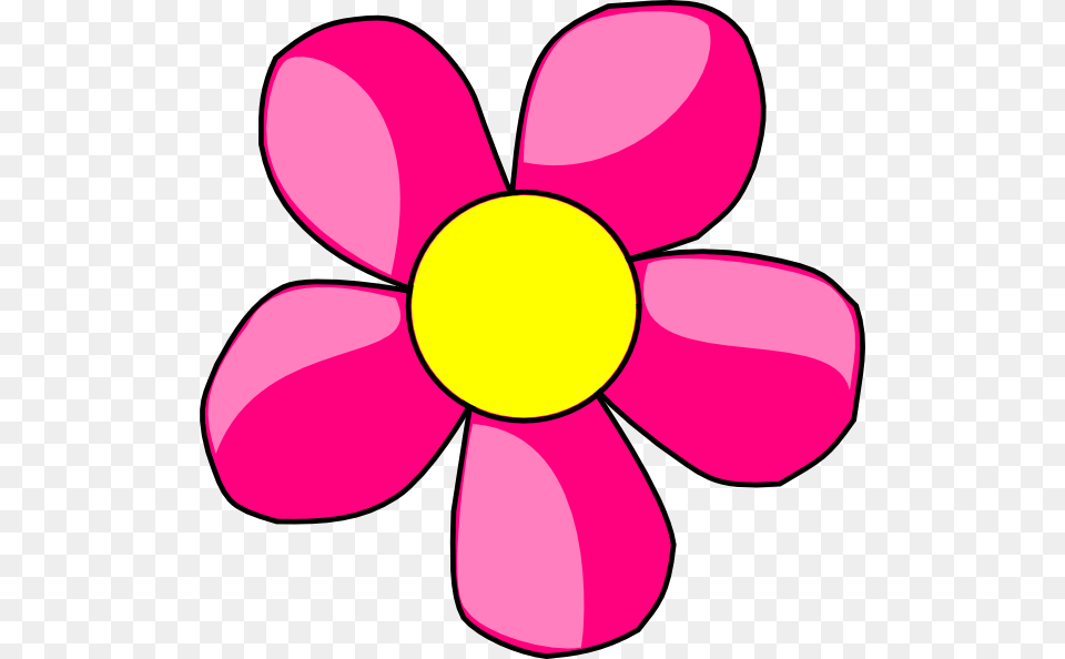 Pink Clipart Daisy Flower, Anemone, Petal, Plant, Dynamite Png Image
