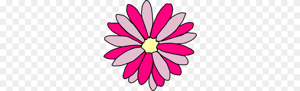 Pink Clipart Daisy Flower, Dahlia, Petal, Plant, Animal Free Png