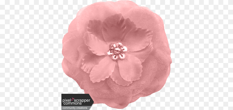 Pink Cloth Flower Graphic By Lisa Hope Stacy Pixel Pixel Scrapper Flower, Anther, Petal, Plant, Anemone Png