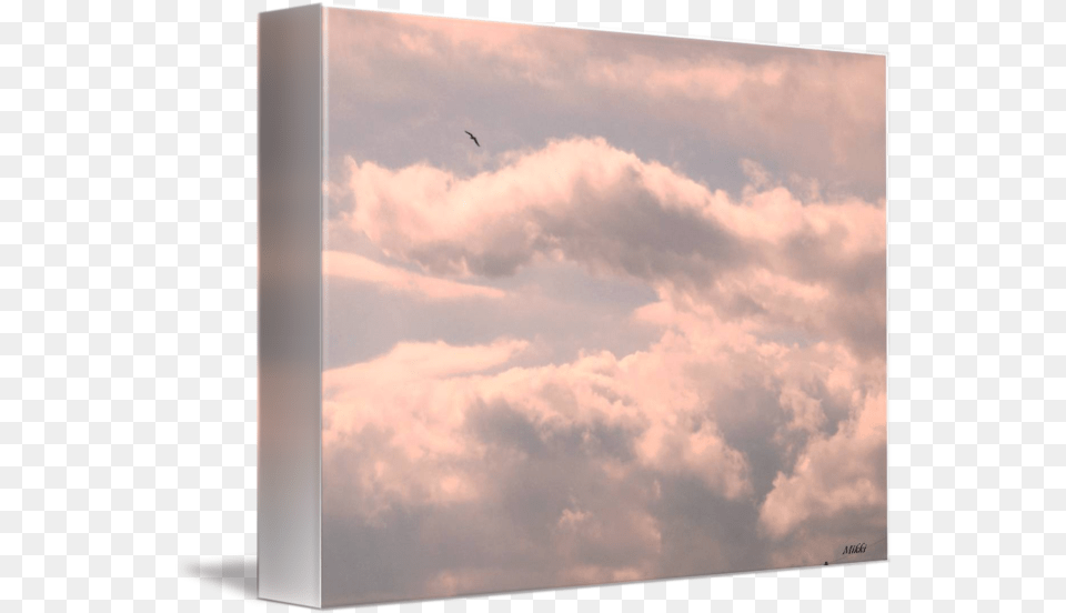 Pink Clouds By Mikki Cucuzzo Flight, Weather, Sky, Outdoors, Cloud Free Png