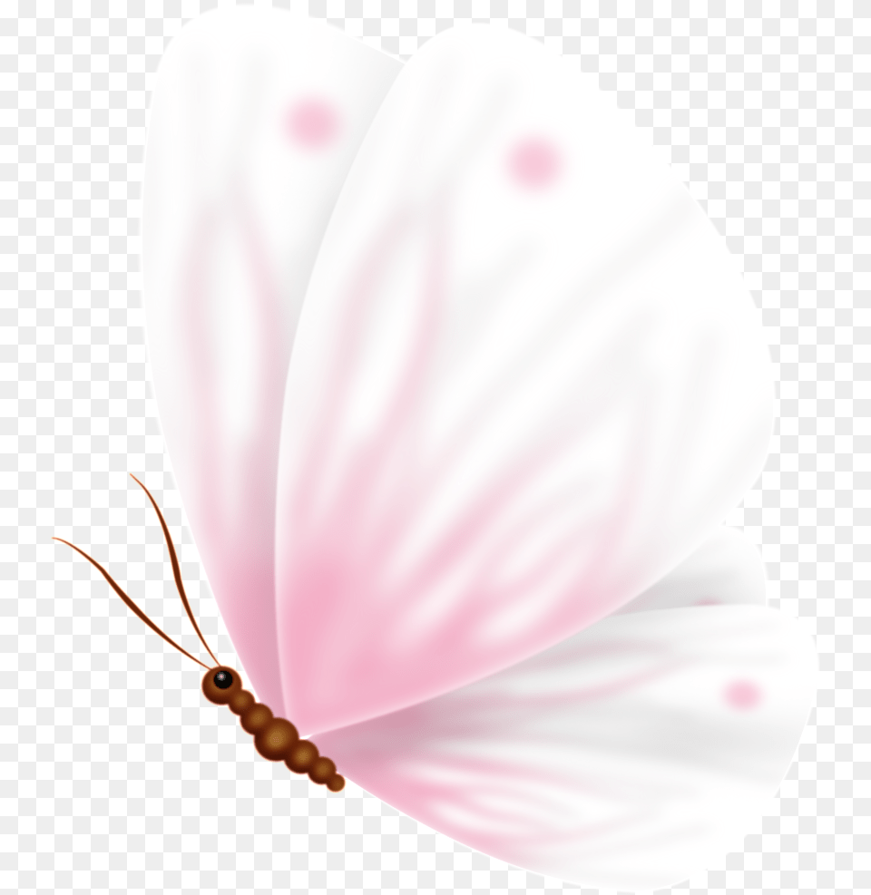 Pink Cute Sweet Butterfly Pass Transparent Moth Orchid, Flower, Petal, Plant, Animal Png Image