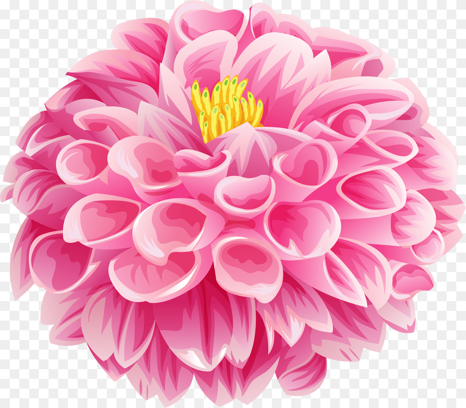 Pink Dahlia Flower Clip Png