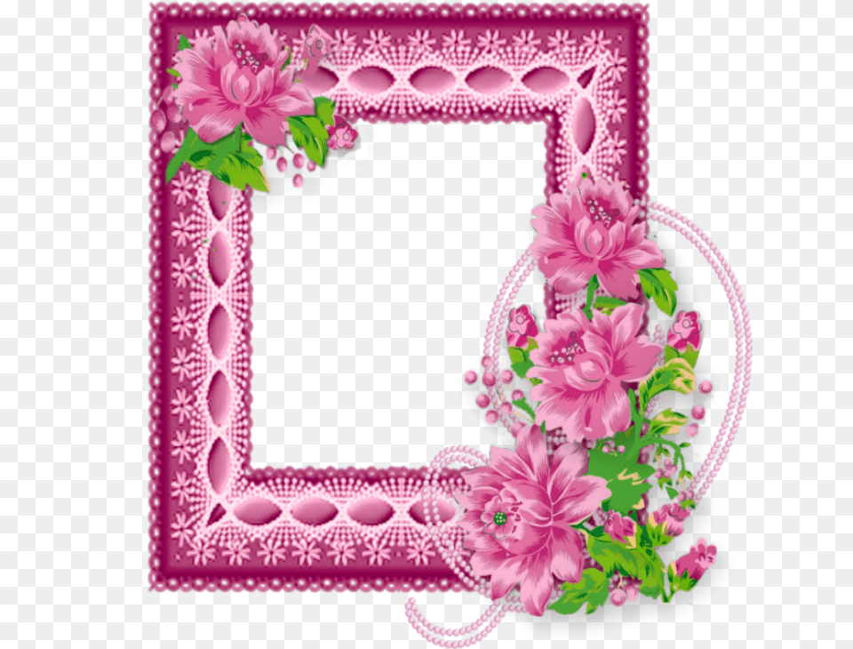 Pink Daisy, Dahlia, Flower, Plant Png