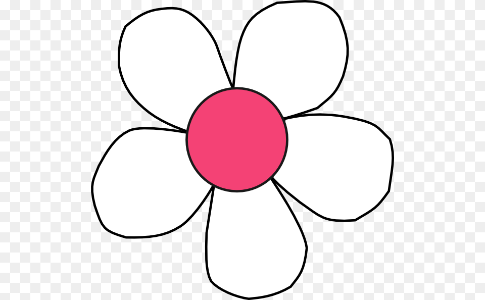 Pink Daisy, Anemone, Flower, Plant, Petal Free Png