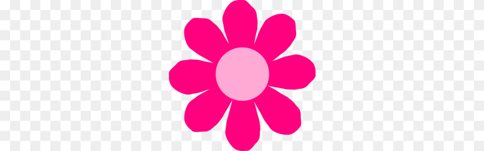 Pink Daisy Flower Clip Art, Anemone, Petal, Plant, Dahlia Png Image