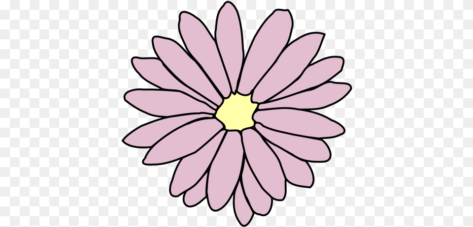 Pink Daisy Svg Clip Art For Web Girly, Flower, Petal, Plant, Dahlia Png Image