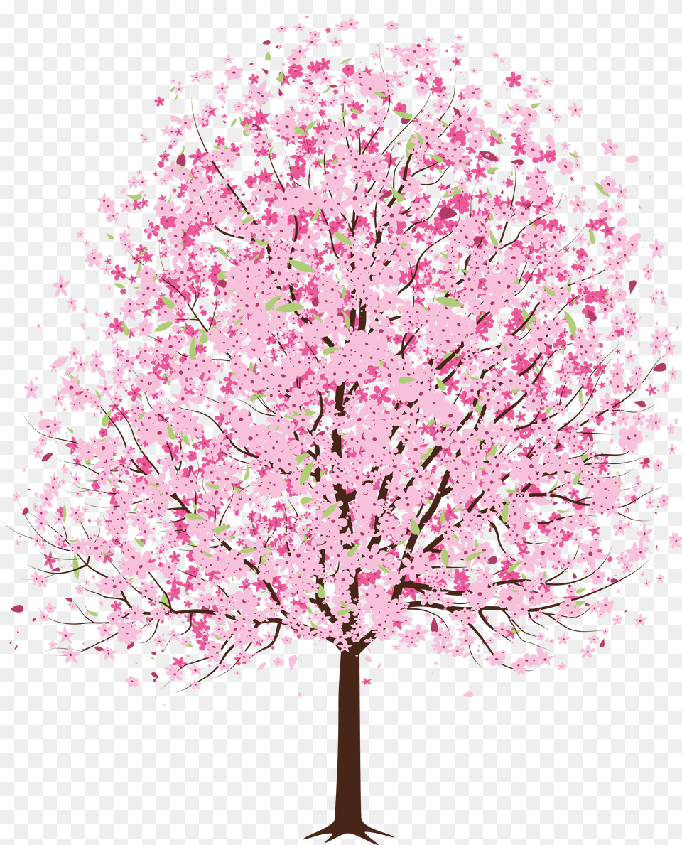 Pink Deco Blossom Cherry Tree Spring Clipart, Flower, Plant, Cherry Blossom Free Png