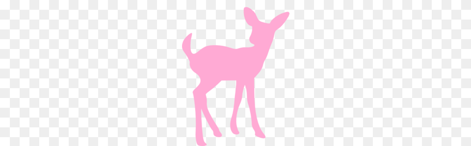 Pink Deer Clip Art, Animal, Mammal, Wildlife, Kangaroo Png Image