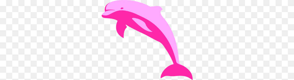 Pink Dolphin Clip Art, Animal, Mammal, Sea Life, Person Free Png Download
