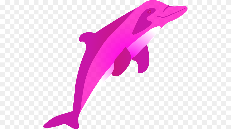 Pink Dolphin Clipart River Dolphin Background, Animal, Mammal, Sea Life, Fish Png Image