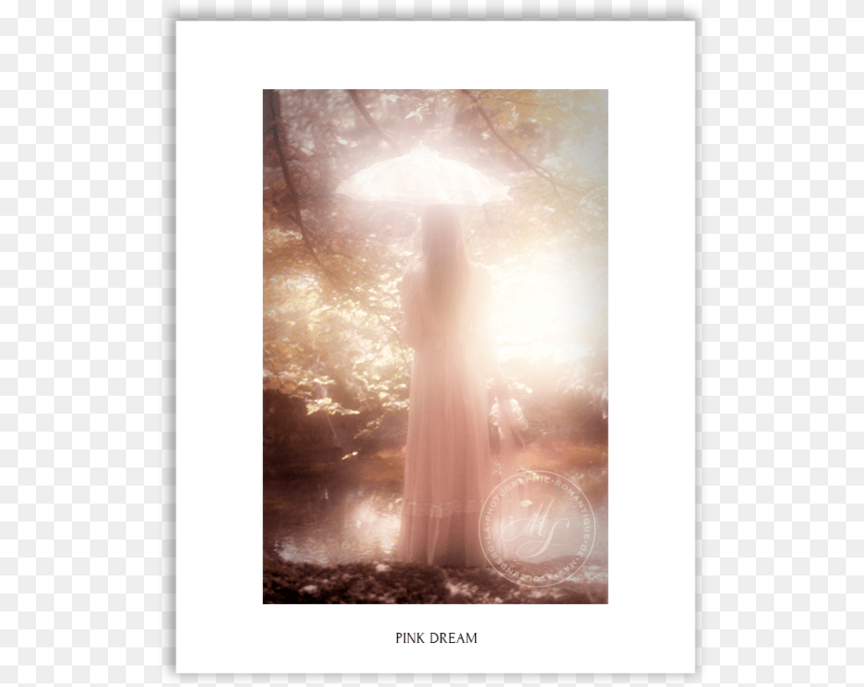 Pink Dream Picture Frame, Light, Sunlight, Flare, Wedding Free Png