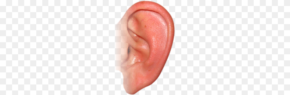 Pink Ear, Body Part, Baby, Person Free Transparent Png