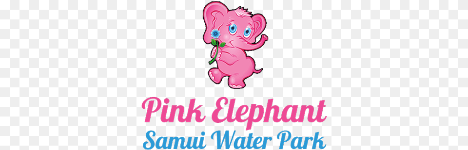 Pink Elephant Custom Will Run For Oval Car Magnet, Animal, Fish, Sea Life, Shark Png
