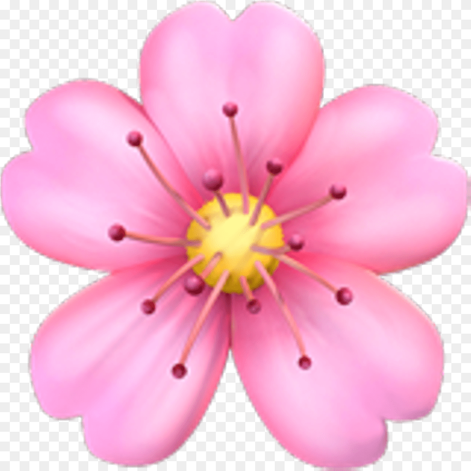 Pink Emoji Tumblr Posts Tumbralcom Flower Emoji, Anther, Petal, Plant, Anemone Free Png Download
