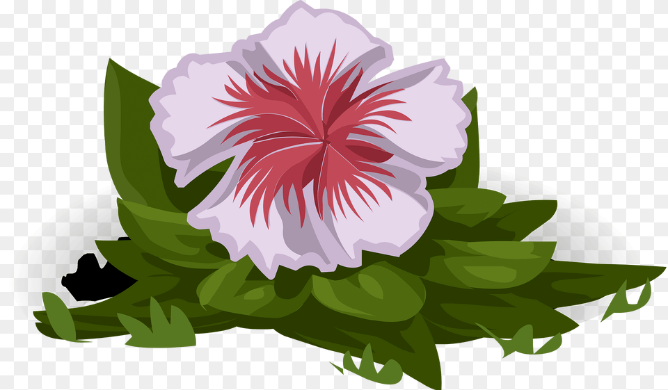 Pink Fantasy Flower Clipart, Geranium, Plant, Hibiscus, Rose Png Image