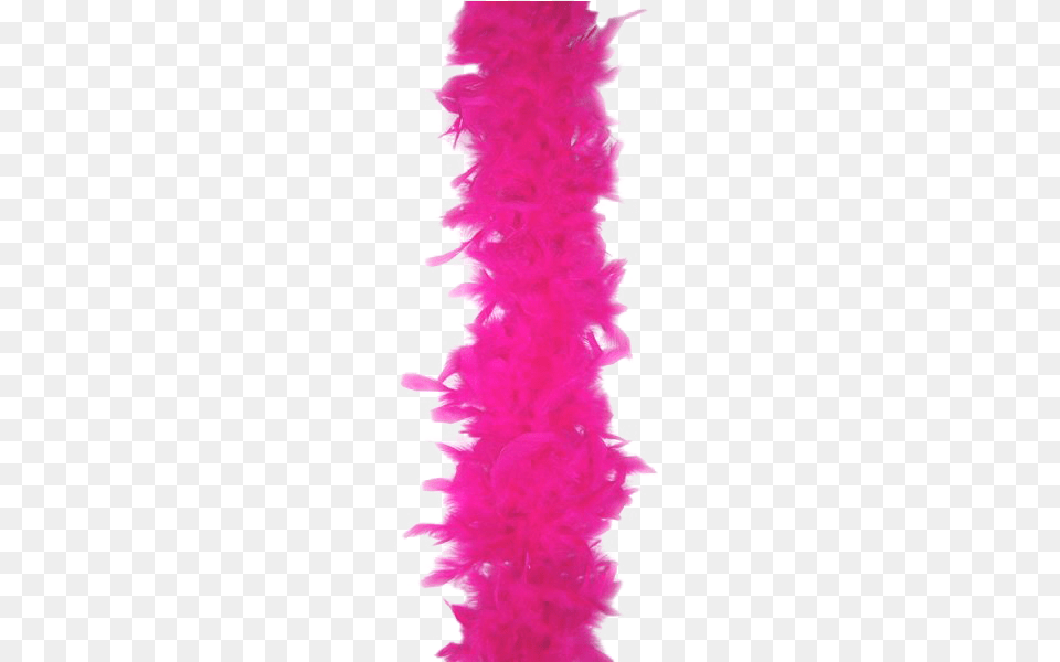 Pink Feather Boa, Accessories, Feather Boa, Adult, Bride Free Png