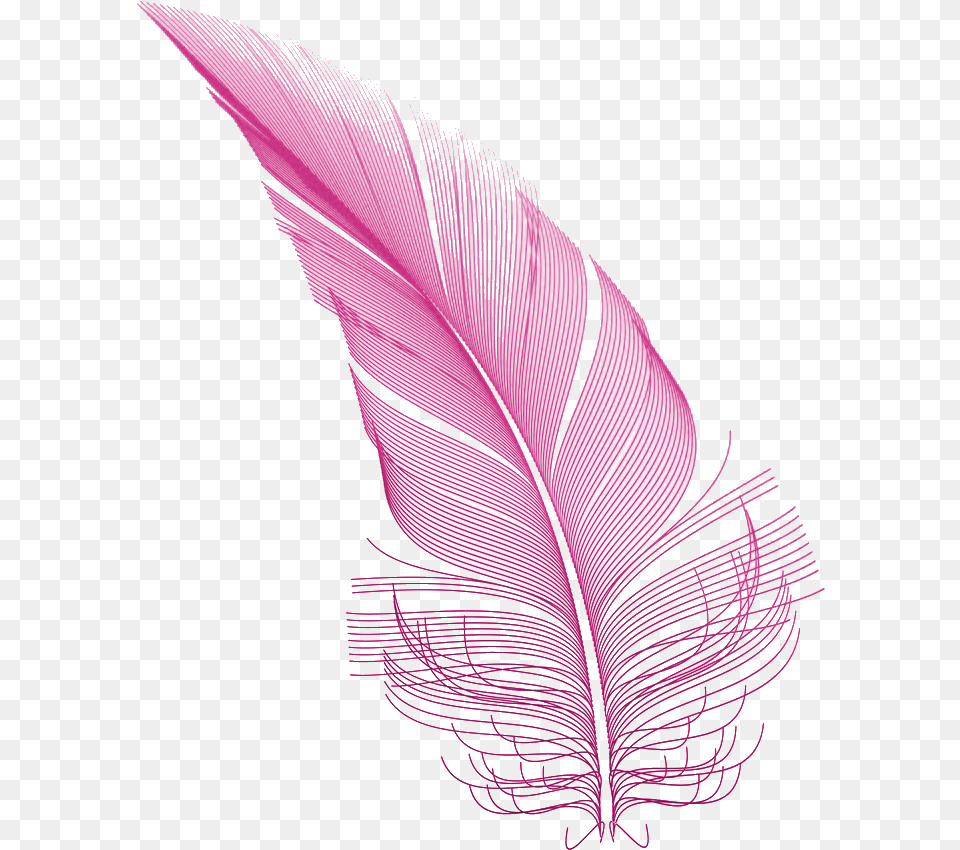Pink Feather Illustration, Art, Graphics, Leaf, Plant Free Png