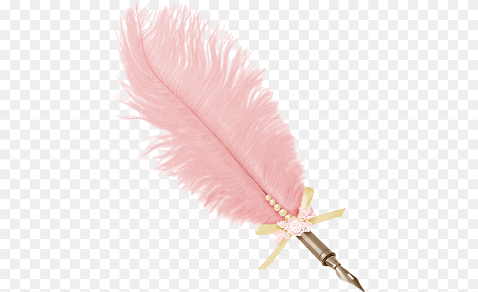 Pink Feather Pink Feathers Free, Accessories, Animal, Bird, Bottle Png