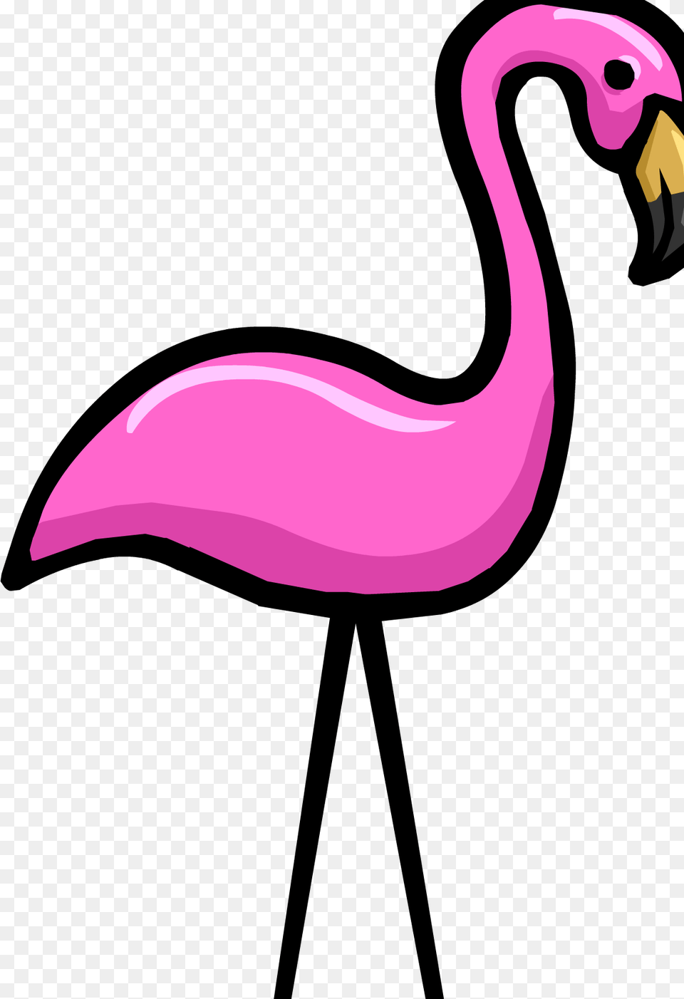 Pink Flamingo, Animal, Beak, Bird, Fish Png