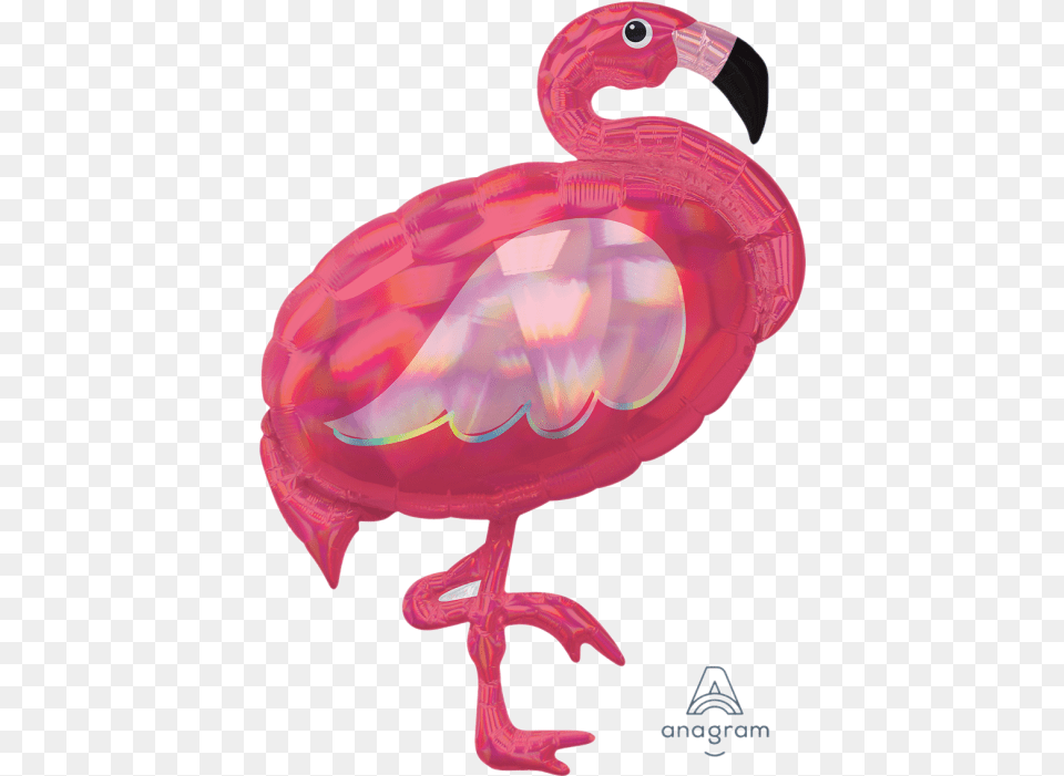 Pink Flamingo, Animal, Beak, Bird, Appliance Png Image