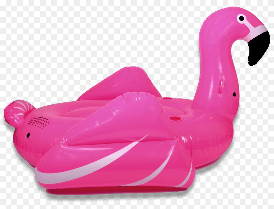 Pink Flamingo, Inflatable, Animal, Fish, Sea Life Free Png Download