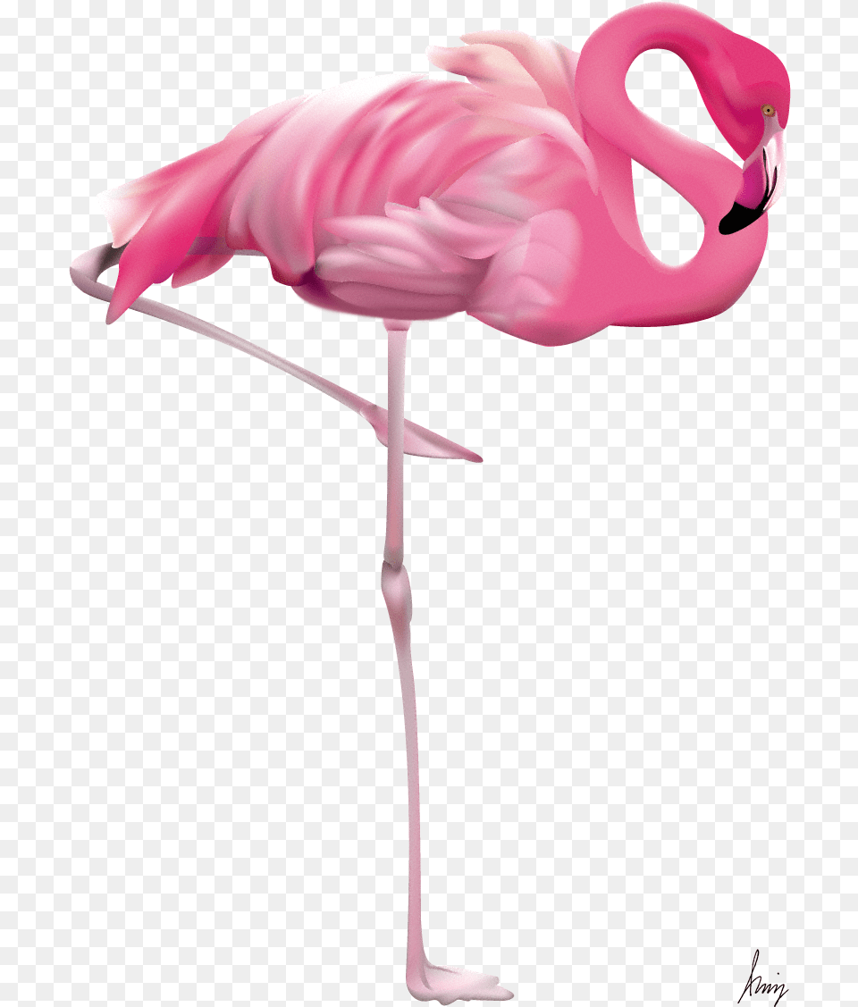 Pink Flamingo, Animal, Bird Free Png Download