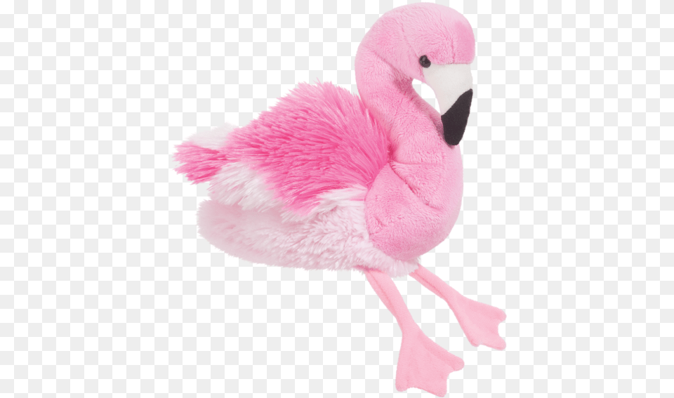 Pink Flamingo, Animal, Bird Free Transparent Png