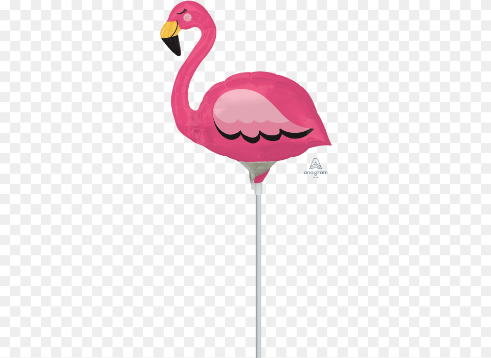 Pink Flamingo, Animal, Bird Png Image