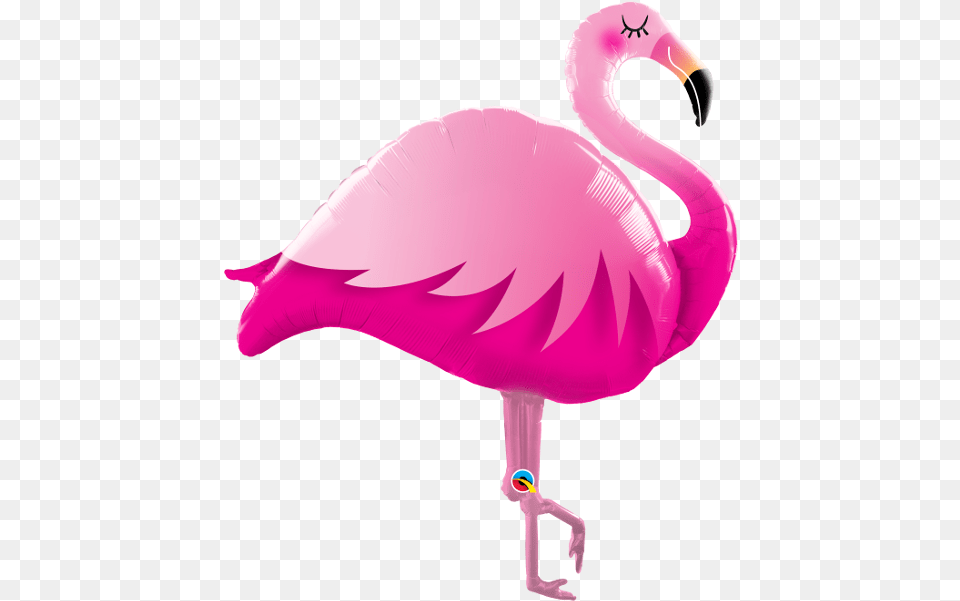 Pink Flamingo Balloon Ballon Flamingo, Animal, Bird, Beak, Adult Free Transparent Png