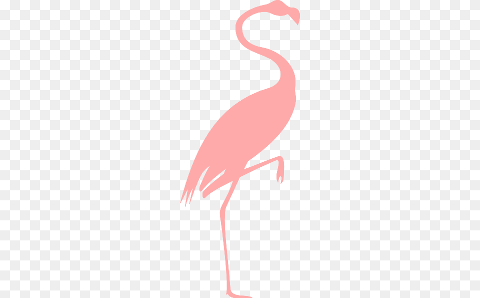 Pink Flamingo Clip Art, Animal, Bird, Crane Bird, Waterfowl Png