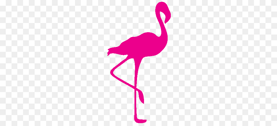 Pink Flamingo Clip Art, Animal, Bird, Person Free Transparent Png