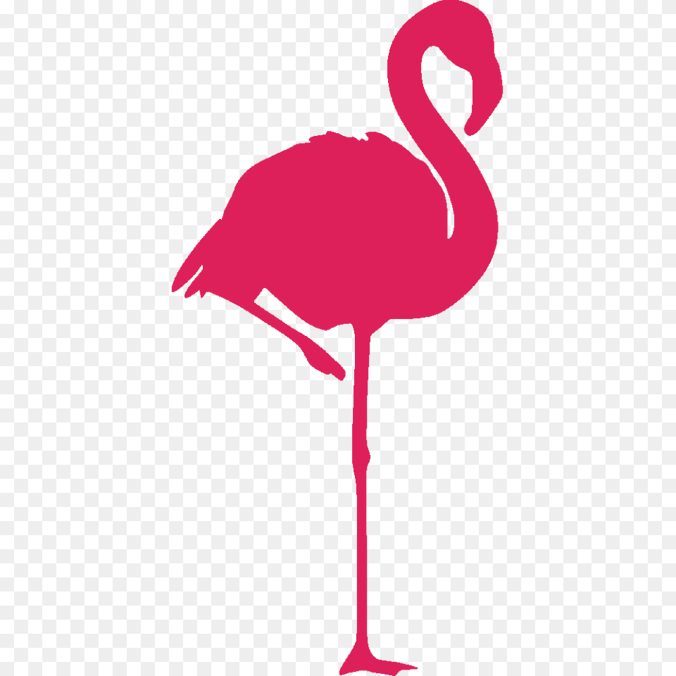 Pink Flamingo Clip Art, Maroon, Purple Png