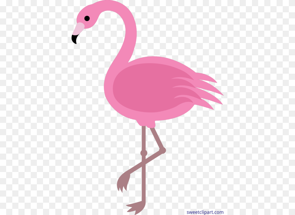 Pink Flamingo Clip Art, Animal, Bird Png Image