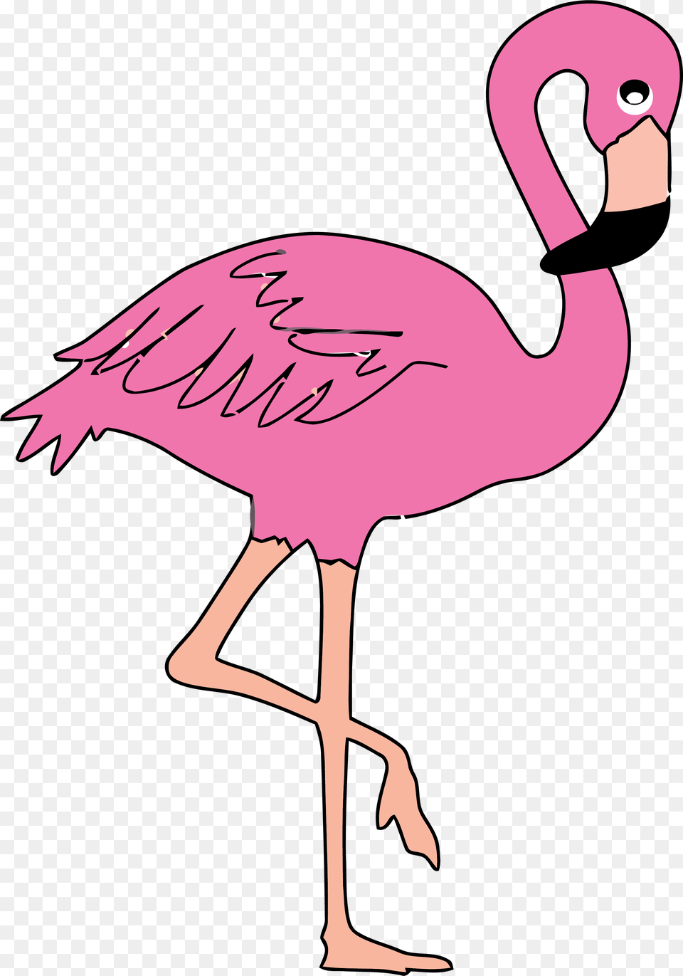 Pink Flamingo Clip Art Flamingo, Animal, Bird, Baby, Person Png