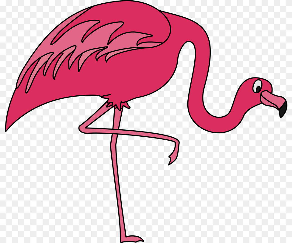 Pink Flamingo Clip Art Flamingoclip Art, Animal, Bird Free Png