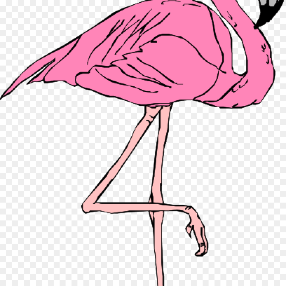 Pink Flamingo Clip Art Pig Clipart House Clipart Online Download, Animal, Bird, Adult, Female Png Image