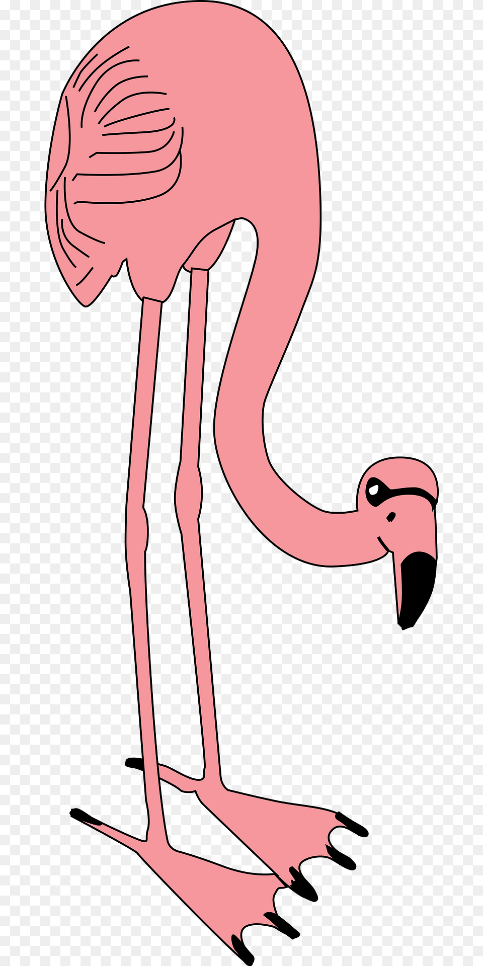 Pink Flamingo Clipart, Animal, Bird, Fish, Sea Life Free Png